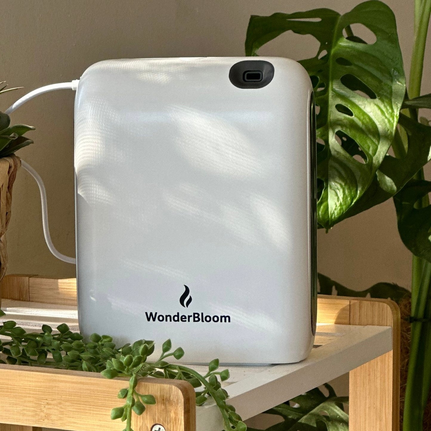 pro 100 + 2 בקבוקי תמציות