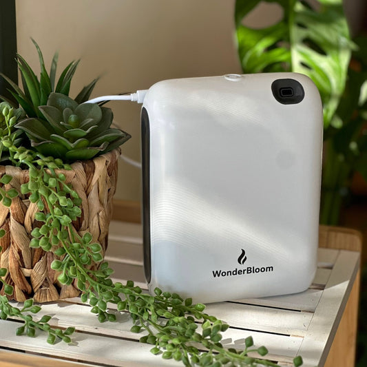 pro 100 + 2 בקבוקי תמציות